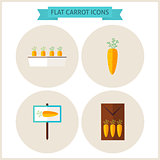 Flat Carrot Vegetable Website Icons Set