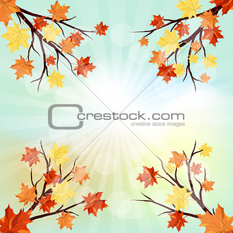 Autumn  design 