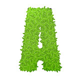 Uppecase letter A consisting of green leaves