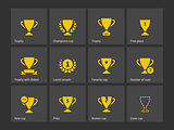 Champions trophy icons.