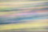 motion blur abstract of foliage
