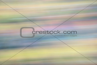 motion blur abstract of foliage