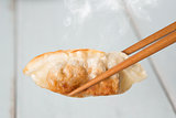 Asian cuisine pan fried dumplings