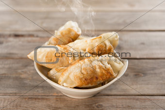 Famous Asian appetizer pan fried dumplings