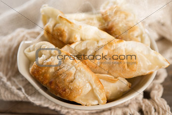 Famous Asian dish pan fried dumplings