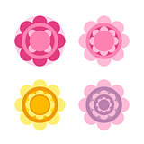 Daisy flower vector icon