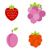 Colorful fruits and berries icons