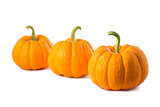 Row of three small pumpkins 