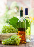 White wine bottles, vine and bunch of grapes outdoor