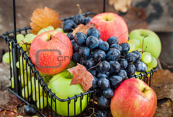 Fresh ripe autumn apples and grapes