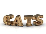 CATS - inscription of bright gold letters