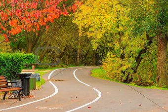 bicycle path with turn in the autumn park