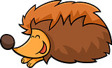 hedgehog animal cartoon illustration