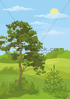 Summer landscape with trees and blue sky