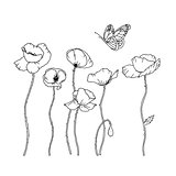 Hand Drawn Poppy Flowers