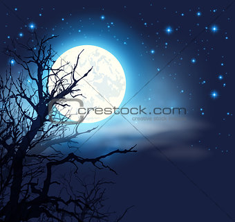 Moon and silhouette of tree