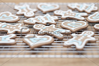 Gingerbread cookies - selective focus