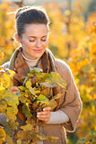 Relaxed woman winegrower standing among grape vines in vineyard