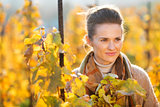 Woman winegrower standing among grape vines in autumn vineyard