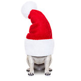 christmas dog and santa claus