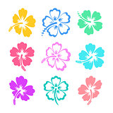 Colorful vector hibiscus icons