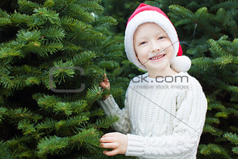 boy shopping for christmas tree