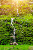 waterfall and green plants in Nepa