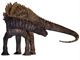 Ampelosaurus Armored Dinosaur
