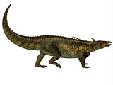 Desmatosuchus Profile