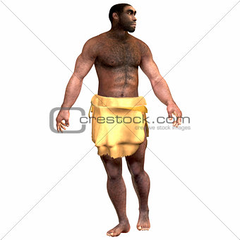 Homo Erectus Male