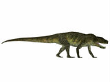 Postosuchus Reptile Profile