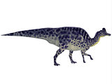 Velafrons Dinosaur Profile