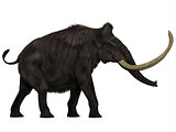 Woolly Mammoth Side Profile