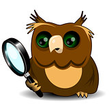 Owl with a magnifying glass
