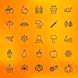 Thanksgiving Day Thin Line Icons Set