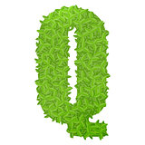 Uppecase letter Q consisting of green leaves