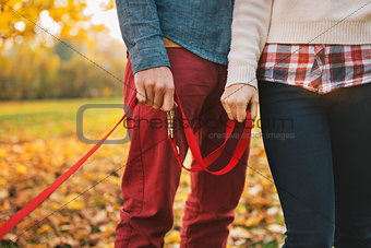 Close up on two hands of couple holding dogs lead outside