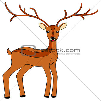 deer isolated vector