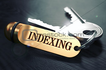 Indexing - Bunch of Keys with Text on Golden Keychain.