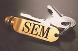 SEM written on Golden Keyring.