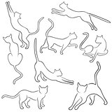 Eight outlines of funny cats