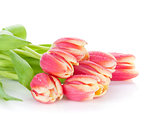 Colorful tulips bunch