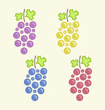 Set Colorful Bunches of Grape
