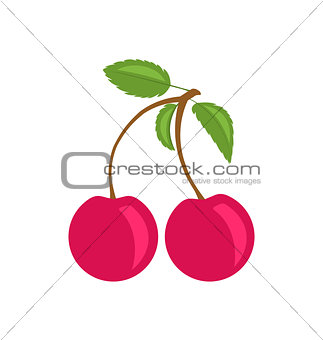 Pair Ripe Cherries