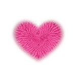 fur pink heart for Valentines Day isolated on white background