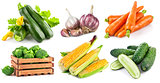 Set fresh vegetables with green leaf