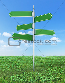 Road sign in green grass field over blue sky background.