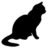 a cat silhouette vector