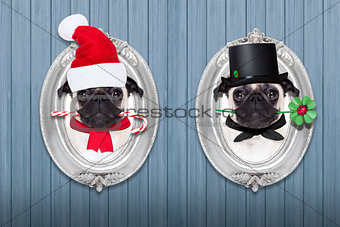 christmas dog as  santa claus and chimney sweeper