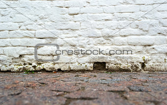 Empty grunge brick wall and pavement